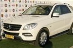 1 (Large) (Custom)